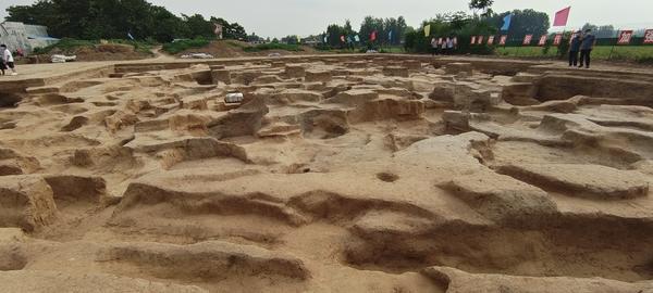 为何说禹州瓦店遗址是4000年前“大都会”？