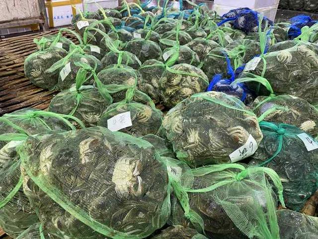 “六月黄”13元一斤 想吃时鲜水产 正是大好时候