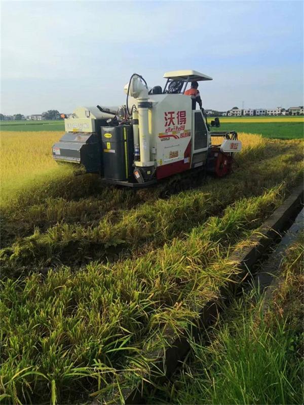 湘潭县：科技助力阵阵“稻花香”——一位水稻种植大户的创业故事（湘潭县群强水稻种植专业合作社）