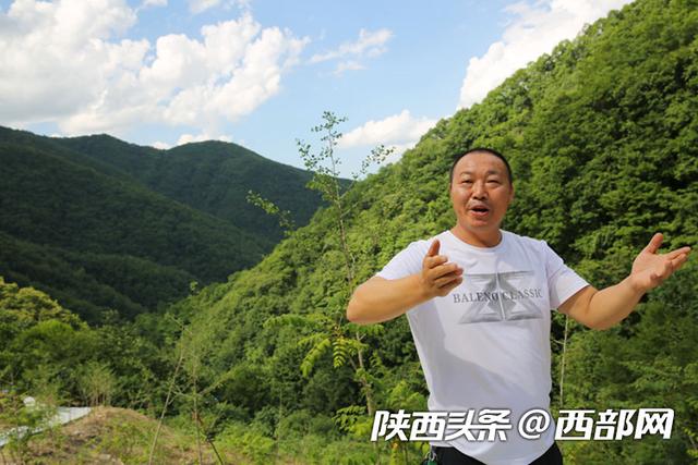 安康镇坪75后男子返乡创业 投资800多万元在大山里种黄连、蓝指蕉