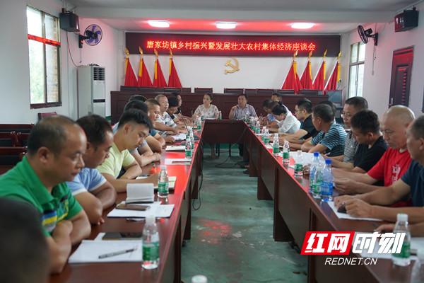 绥宁唐家坊镇：发展壮大农村集体经济 助力乡村振兴（绥宁县唐家坊镇书记）