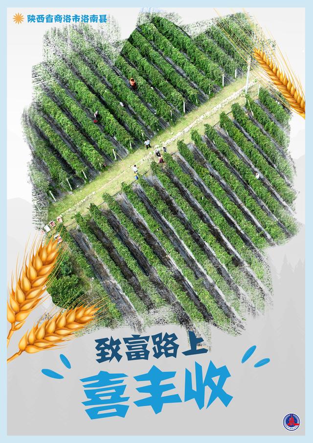 （图表·海报）［新华全媒+］致富路上喜丰收（3）