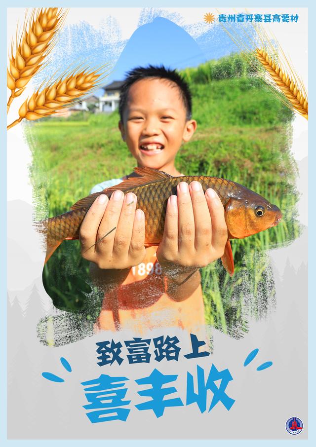 （图表·海报）［新华全媒+］致富路上喜丰收（2）