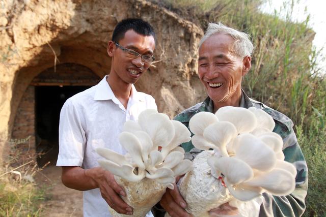 37岁“菌叔”农村创业十余载 带领乡亲种菇致富（农村种菌菇能赚钱吗）