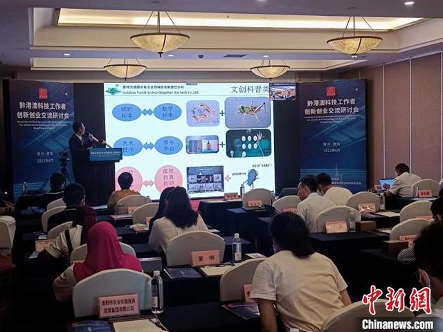 “黔港澳科技工作者创新创业”交流研讨会举行