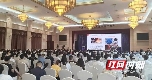 2022年湖南省中小微企业创新创业大赛决赛落幕“高精尖”刷屏（2020年湖南省创新创业大赛获奖名单）