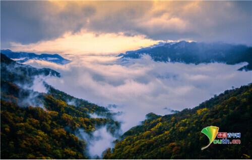 湖北神农架：景色秀美的“物种基因库”（湖北神农架相关资料）