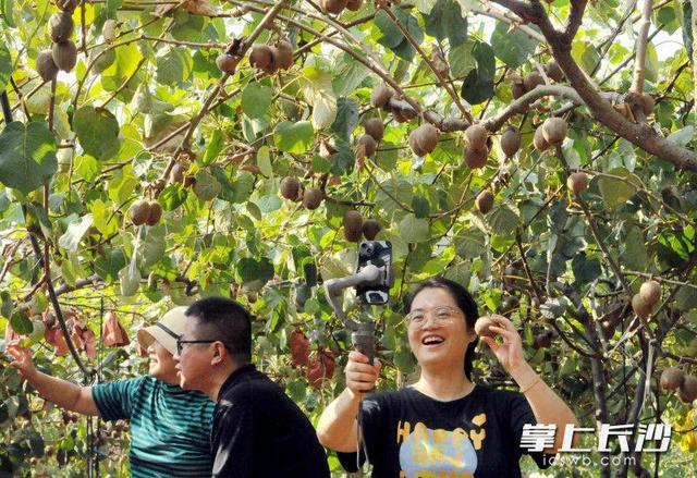 女儿返乡加盟创业获丰收，宁乡这位老父亲感叹不已……
