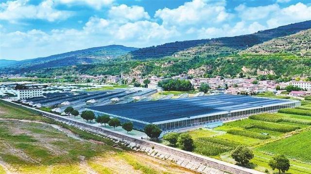 「奋进新征程 建功新时代 喜迎二十大」天津河西区与平凉崆峒区庄浪县东西部协作掠影