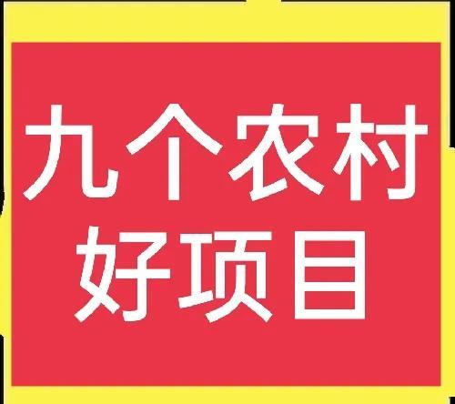 九个农村乡镇好项目，建议收藏（17个适合农村发展的项目）