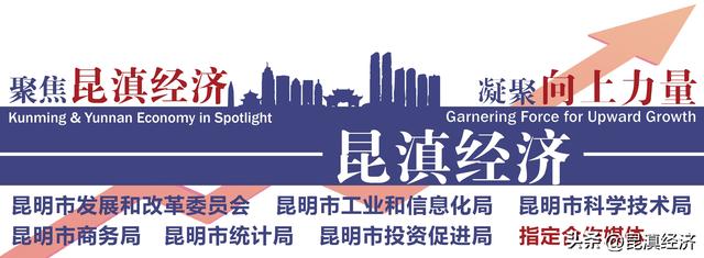 30个大学毕业生优秀创新创业项目集中展示（大学生创新创业成果展示）