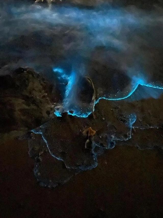 宁波周末去哪儿玩？（宁波周末去哪里玩）