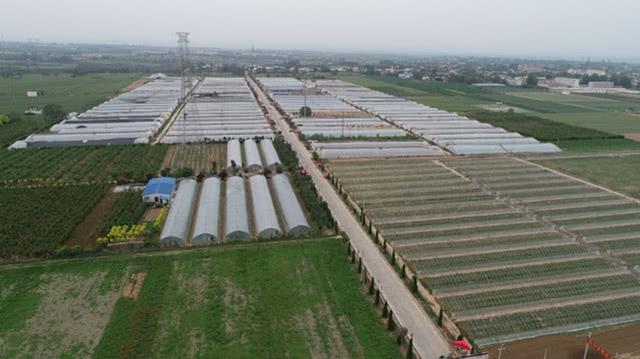 80后小伙返乡创业，靠这个技术“发家”，年销售收入达50余万（回乡创业案例）