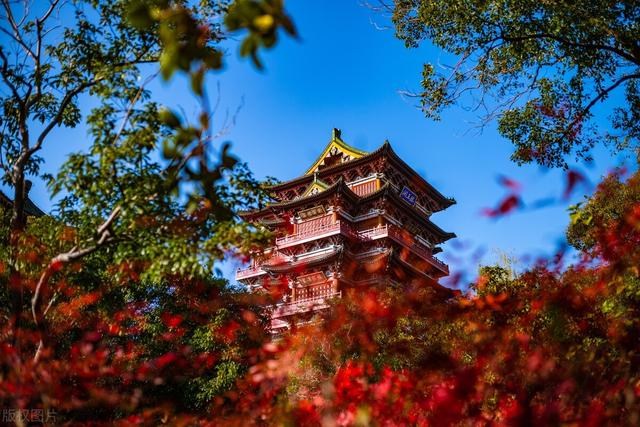 梯田、瀑布、日出、云海…江西不容错过的9处美景（梯田的风景）