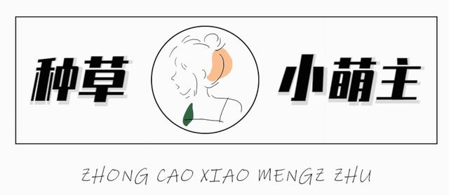 15支超好用的身体乳，好闻哭了，快快收好（超级香的身体乳推荐）