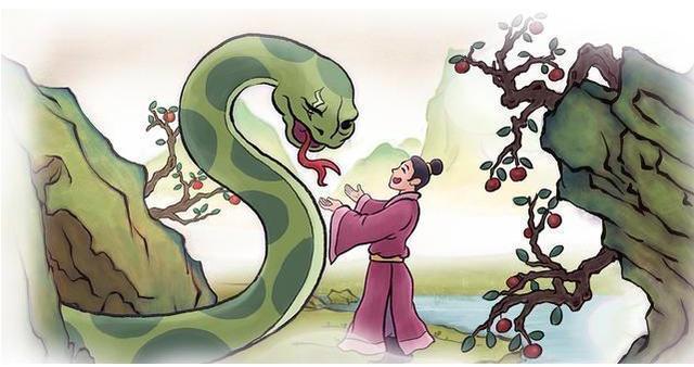 非洲岩蟒_被蛇吞下是何感受？科学家作死实验，心率飙升，感觉手血液被榨干