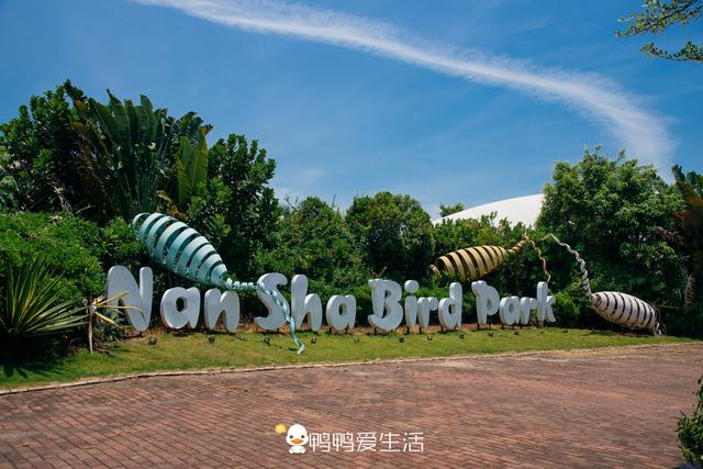 疫情之下最好旅游地：自驾去广州南沙吧，六大玩法亲近自然吃海鲜（广州南沙出海攻略）
