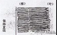 超市生鲜部各课组陈列要求（生鲜超市陈列讲解）