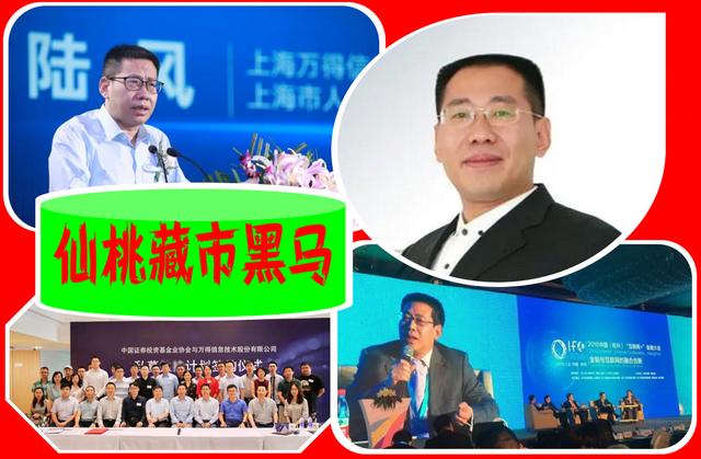仙桃藏市“黑马”：24岁白手创业，连续12年上榜胡润，身价404亿