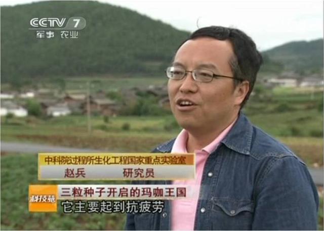 中国科学院赵兵教授谈玛咖（四）玛咖的食用及食用方法