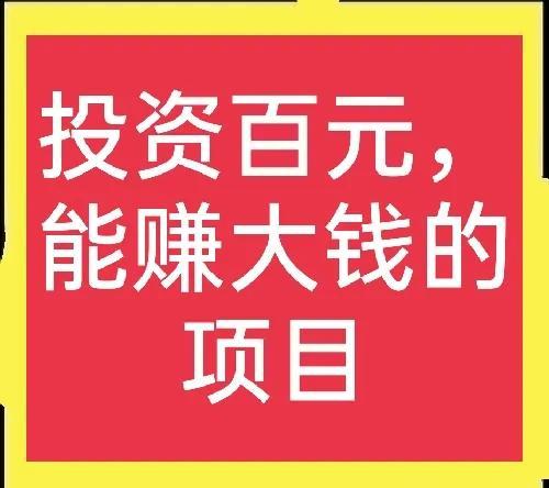 投资几百元，月入好几千的农村项目有哪些？