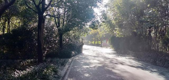 扯淡（小小说）（论扯淡全文阅读）