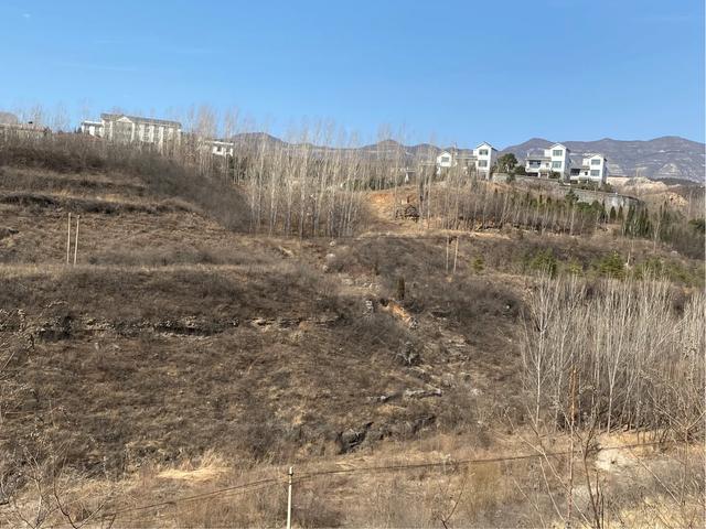 【正月十七】19、龙泉山庄是龙翔旅游景区最高建筑（龙泉山庄位于哪里）
