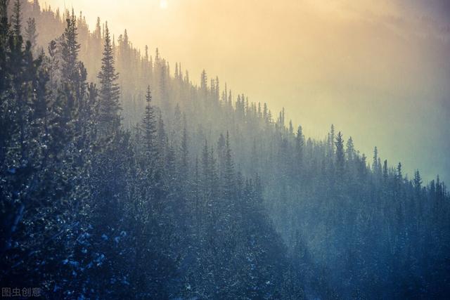 滋阴补肾的水果_苹果和它搭配煮水，让这个秋冬不干燥，还润五脏之阴（苹果和什么搭配煮水养颜）