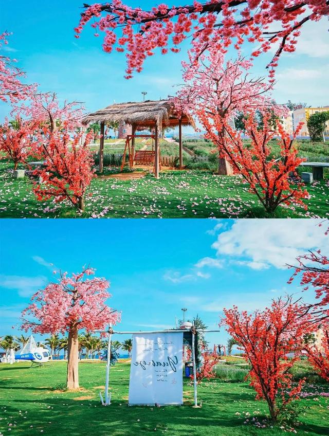 深圳玫瑰海岸丨最浪漫幸福的海岛（深圳玫瑰海岸旅游攻略）