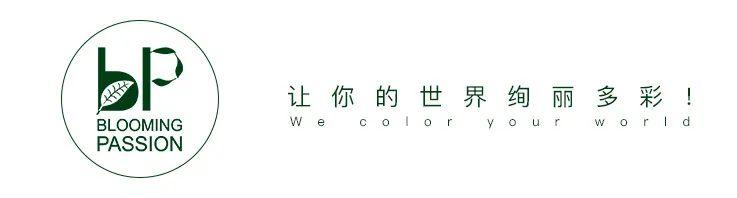 大量“美食”预警！这6款月季好看还“好吃”，吃货们准备好了吗（哪些月季能吃）