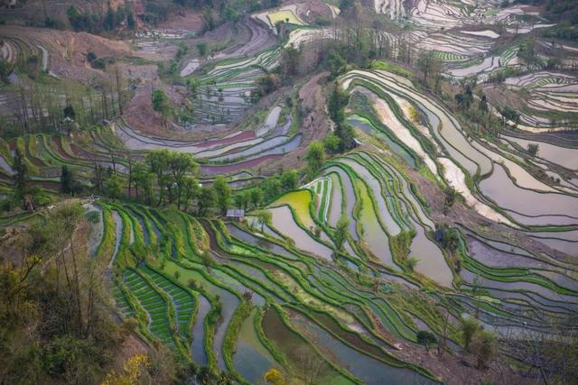 元阳哈尼梯田