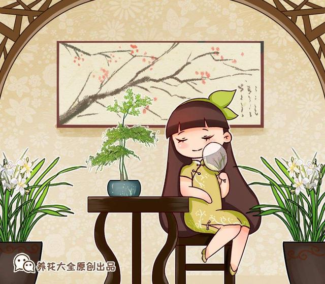 兰花品种名称及图片_兰花品种多，中国兰花五大品种，你知道吗？（兰花的八大品种）