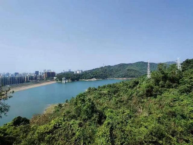 梅林水库徒步活动｜抓住春天的尾巴，与初夏来一场偶遇（梅林水库绿道徒步路线入口）