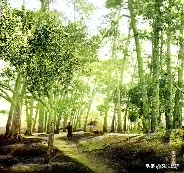 福建福州：晚清时期的鼓山涌泉寺，图6的僧人看着很诡异（福州涌泉寺灵异事件）