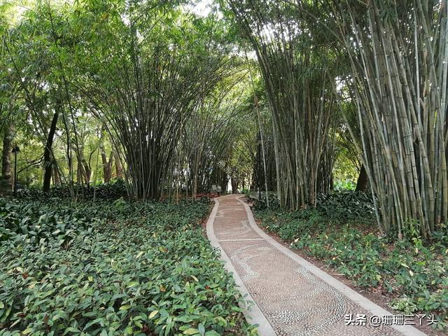 广州“第三大”古海岸遗址，在闹市的公园内，双地铁到达，免门票（广州地铁可到的5个古村）