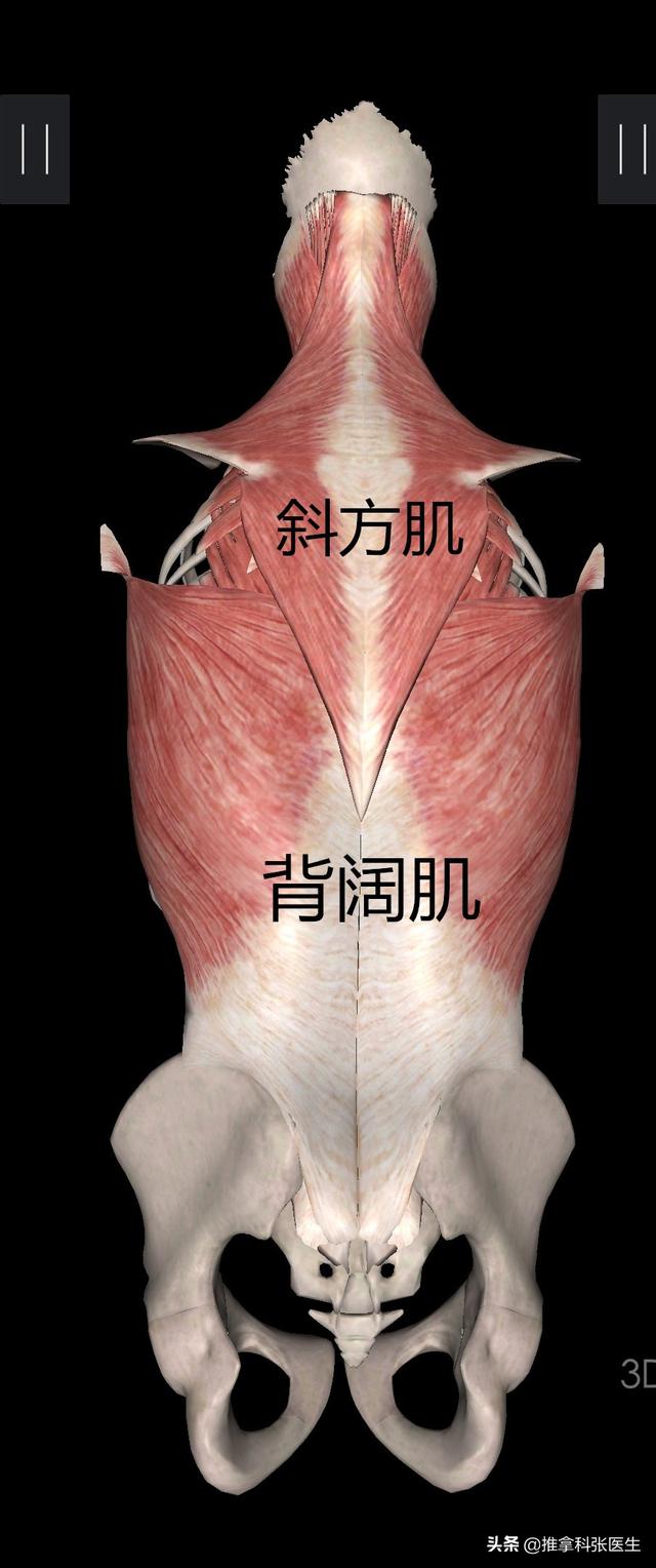 给你一双透视眼，看透你自己（看透你的眼睛）