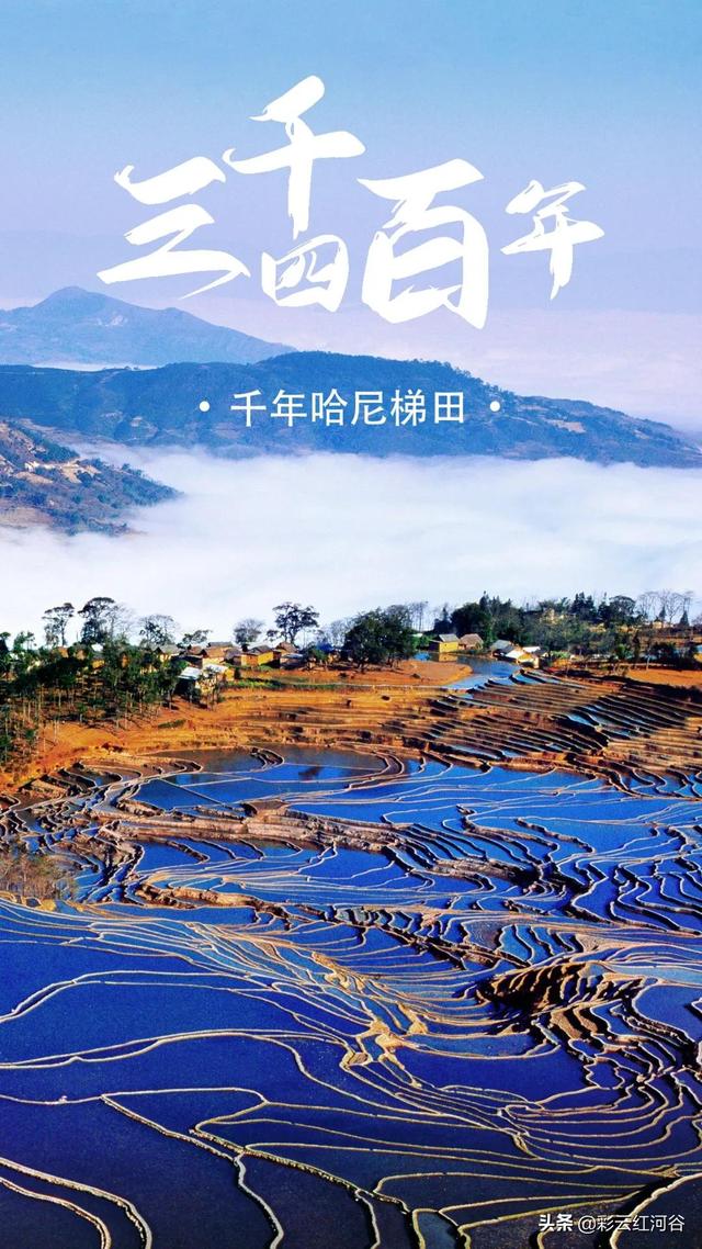 千年哈尼梯田，美到极致