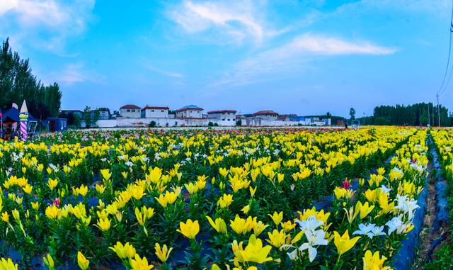 藏不住了！济南新晋网红打卡点曝光！位置就在这里（济南网红打卡的地方）