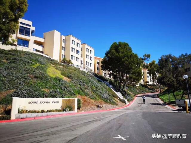 2019年佩伯代因大学本科录取率