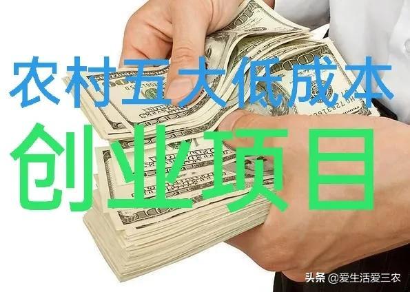 合适农村“零成本创业”的五个项目，发家致富很简单（现在适合在农村的低成本创业项目）