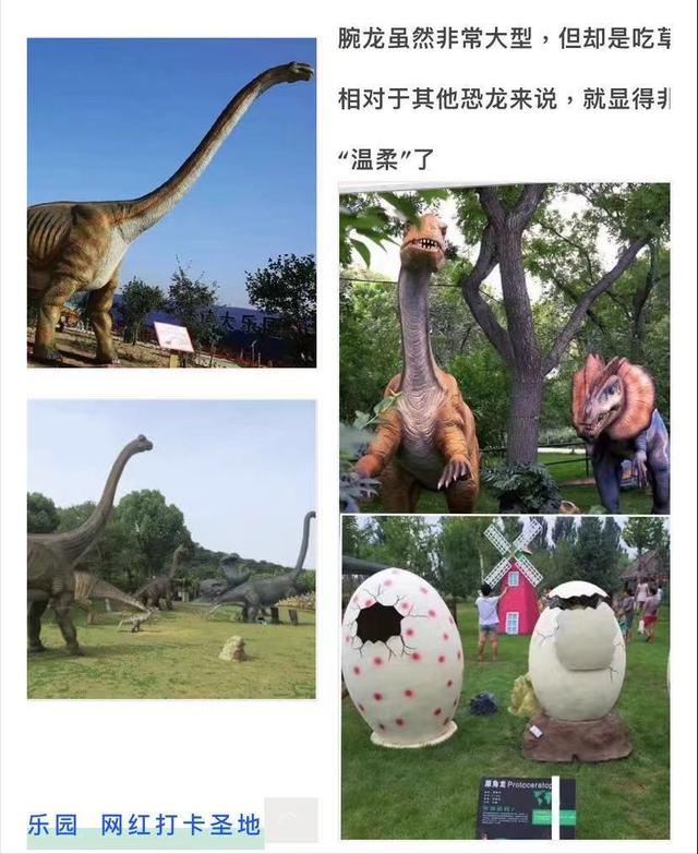 嘉兴梅花洲恐龙园名不副实，乘兴而至只花十分钟逛完，大家要避坑