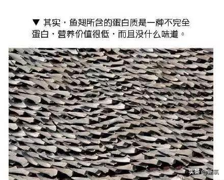 肤品行业背后的残忍真相，300万只鲨鱼为你的日常保湿而丧生
