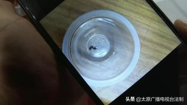尚客优酒店：顾客入住被虫咬伤 店长竟说有虫很正常
