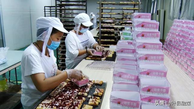 河南叶县许小超：返乡创业建工厂 带领乡亲致富忙