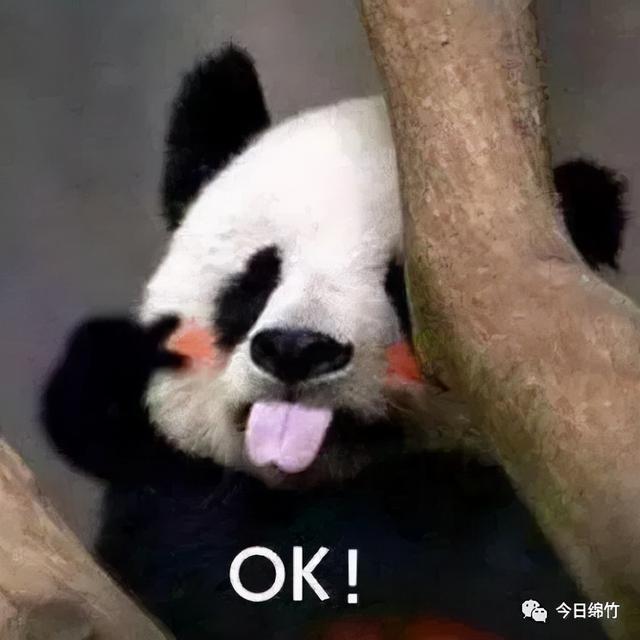 重磅！绵竹“入圈”，中国熊猫谷项目被纳入国家规划（绵竹大熊猫项目）