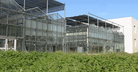 温室大棚为什么要用热镀锌骨架材料？（大棚钢管是热镀锌还是冷镀锌）