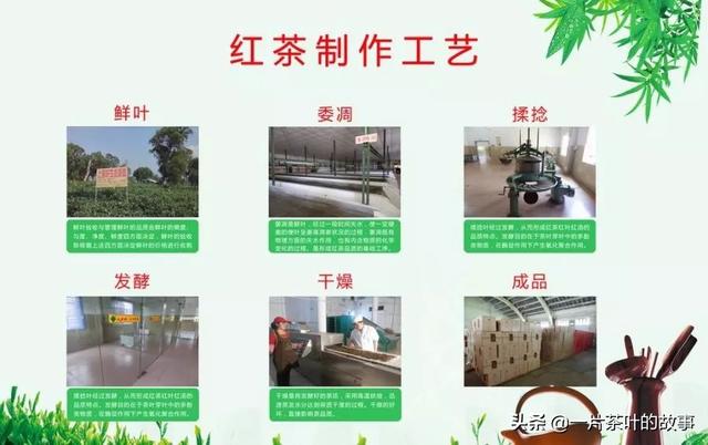 红茶干货丨最全红茶分类资料，一文让你看懂红茶（红茶全部种类）