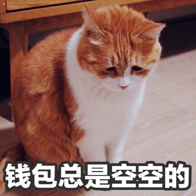 冷知识：女生节、妇女节、女神节、女王节有哪些区别？（妇女节被称为女神节女王节你怎么看）