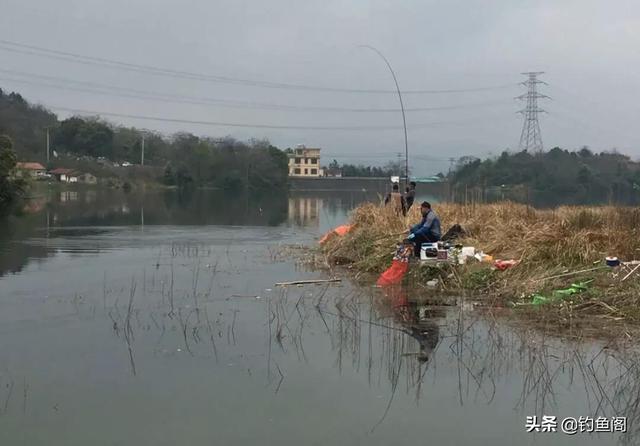 谁说冬季钓鱼必须钓深？（晚上鲫鱼钓浅滩还是深水）