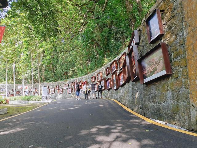 广东惠州罗浮山（广东惠州罗浮山在哪里）